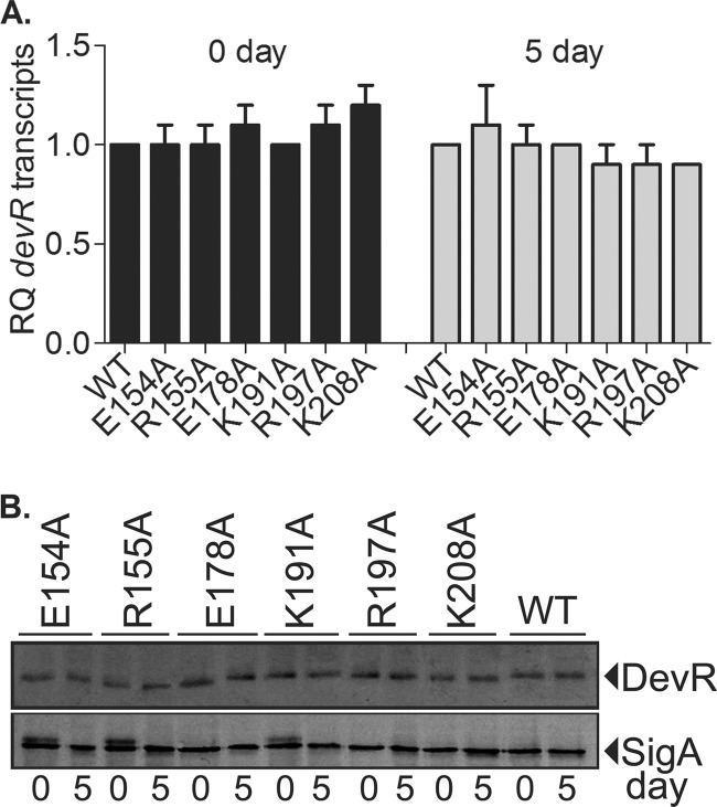 FIG 3