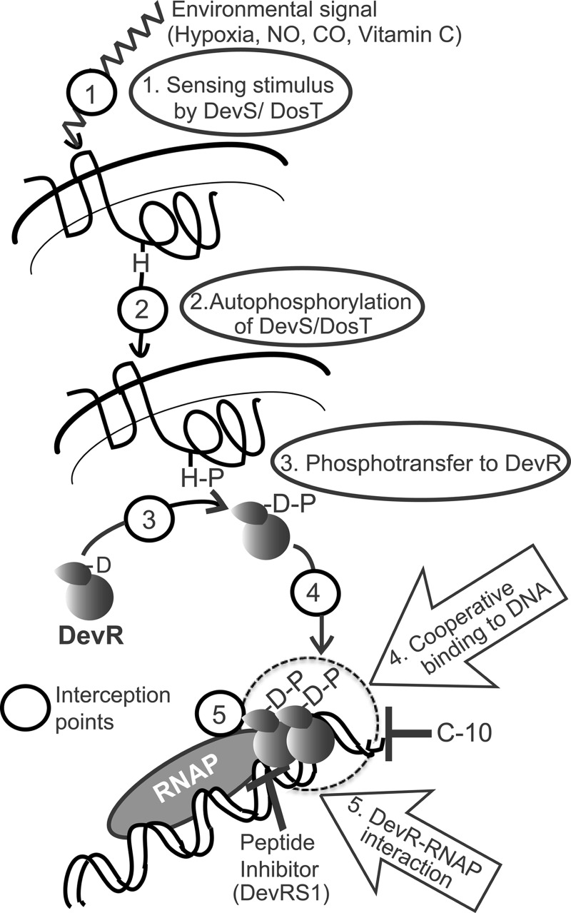 FIG 6