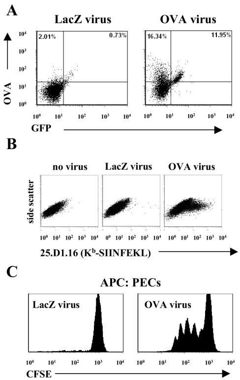 FIG. 2.