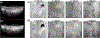 Fig. 5.