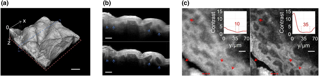 Fig. 4.