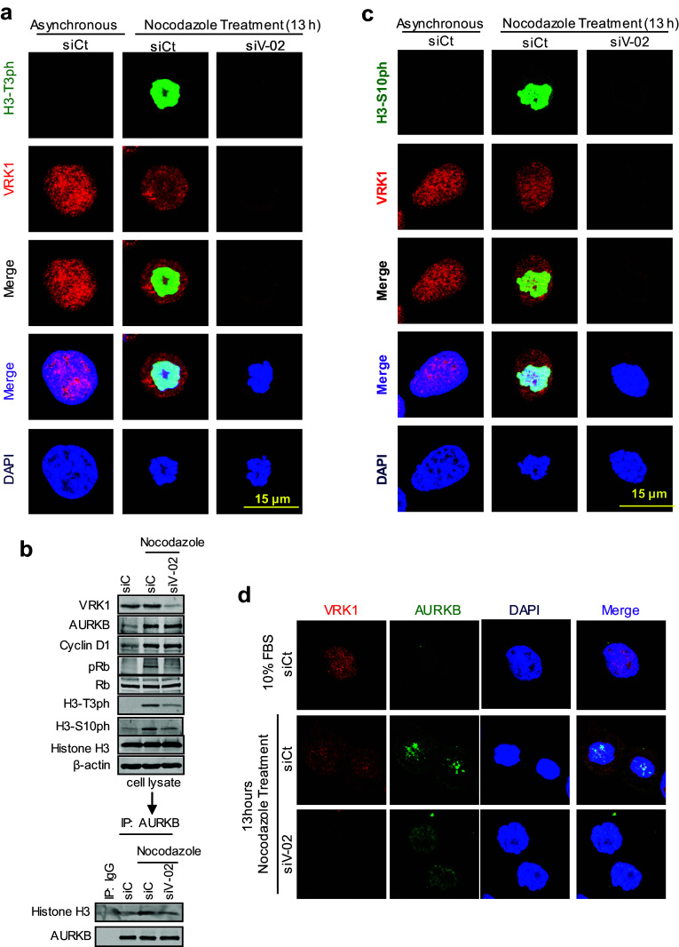 Fig. 7