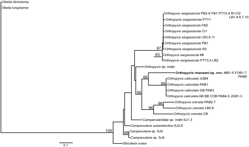 Fig 4