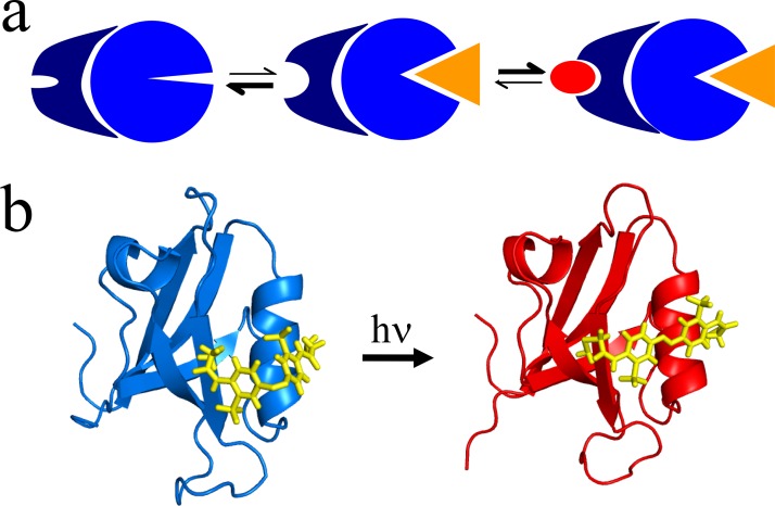 FIG. 7.