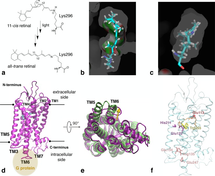 FIG. 15.