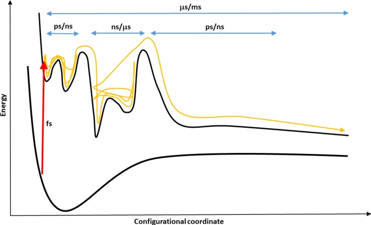 FIG. 1.