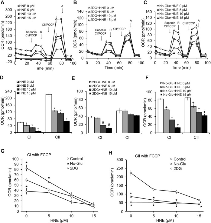 Differential Effects Of 2-deoxyglucose And Glucose Deprivation On 4 