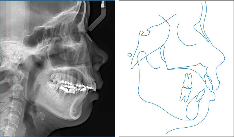 Figure 5.