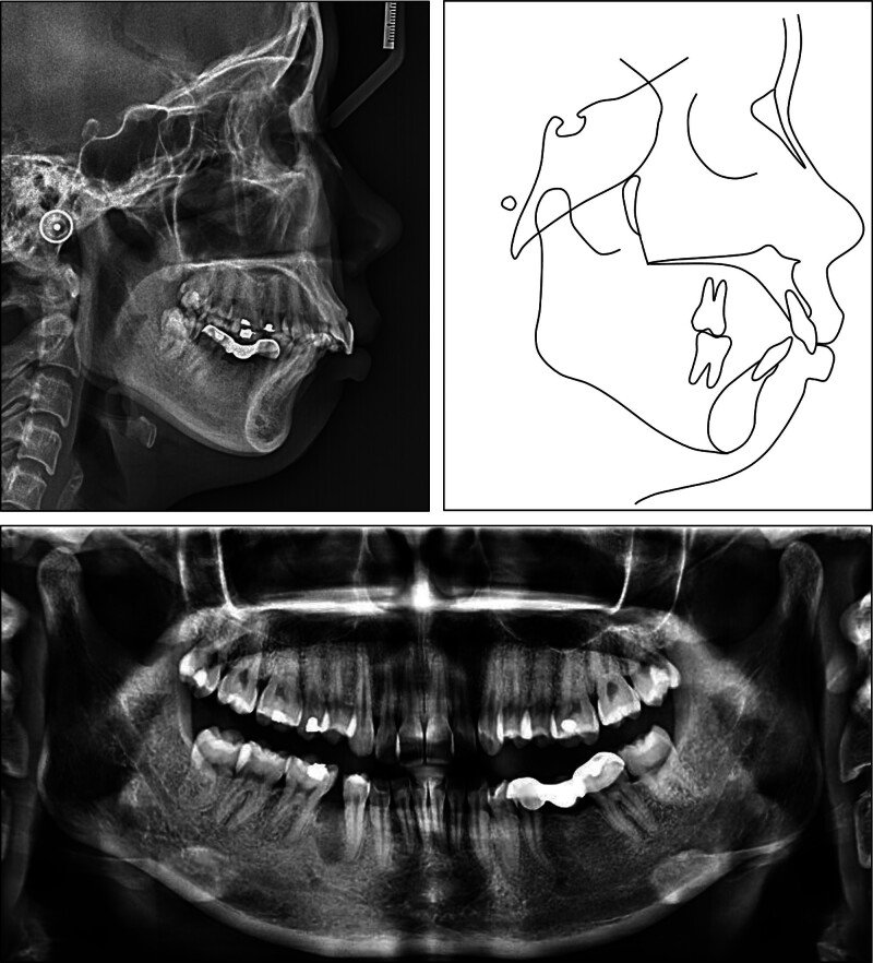 Figure 3.