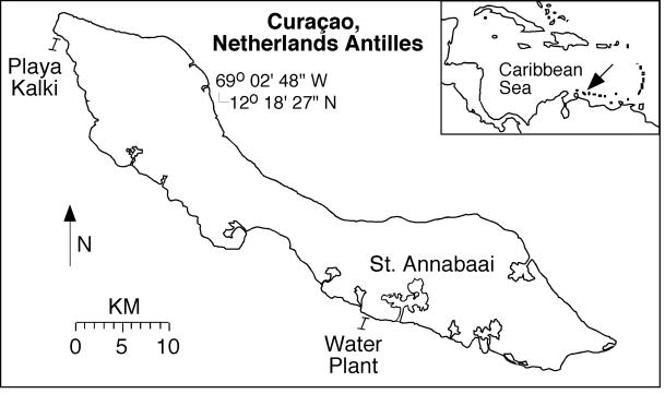 FIG. 1.