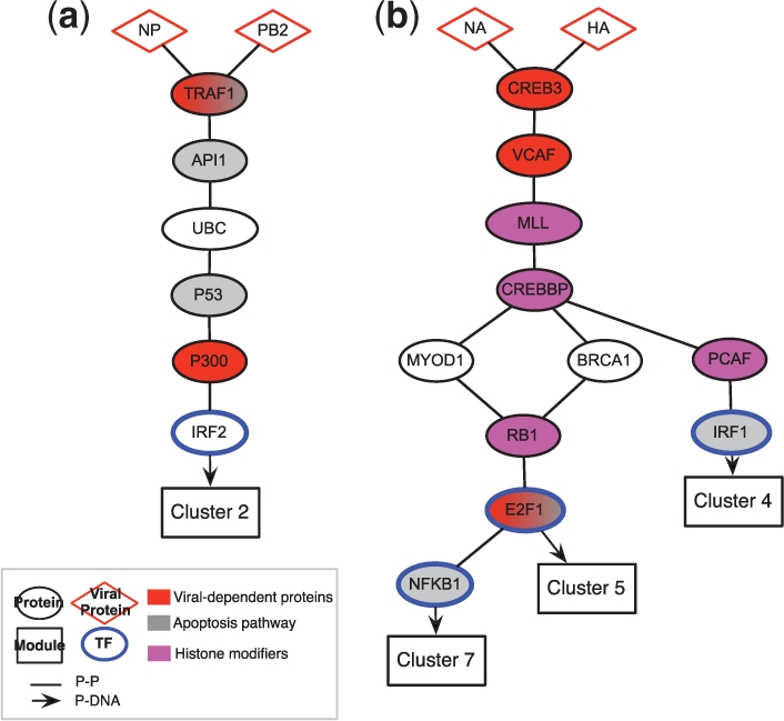 Fig. 6.