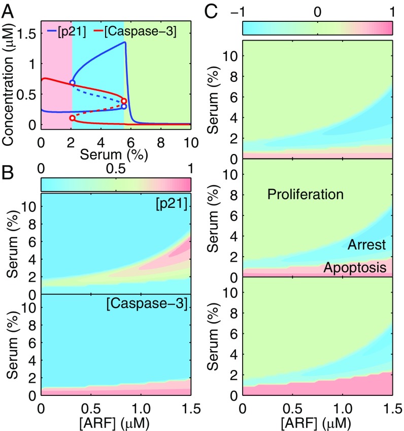 Fig. 3.