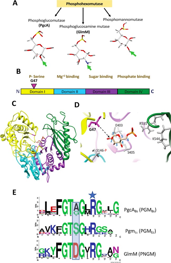 Fig 6