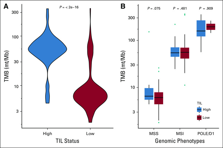 FIG 2.