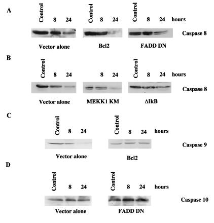 FIG. 7