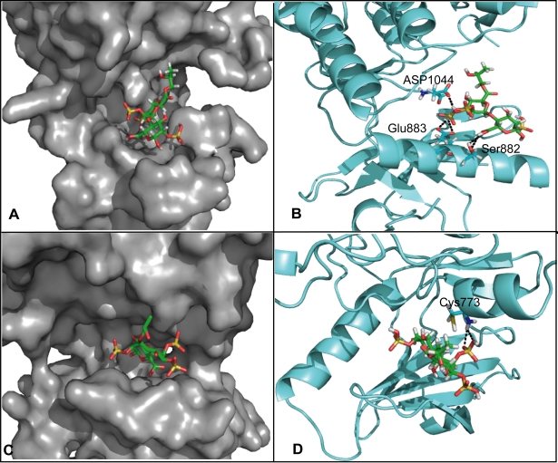 Figure 6