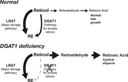 FIGURE 7.