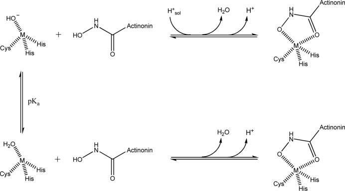 Scheme 2