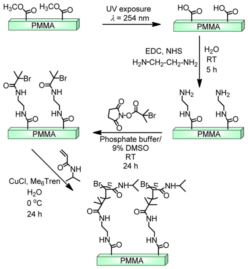 Scheme 1