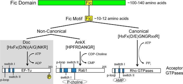 FIGURE 9.