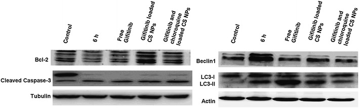 Fig. 6