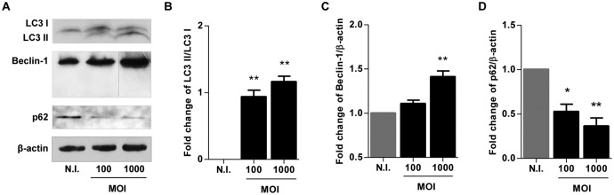 FIG 1