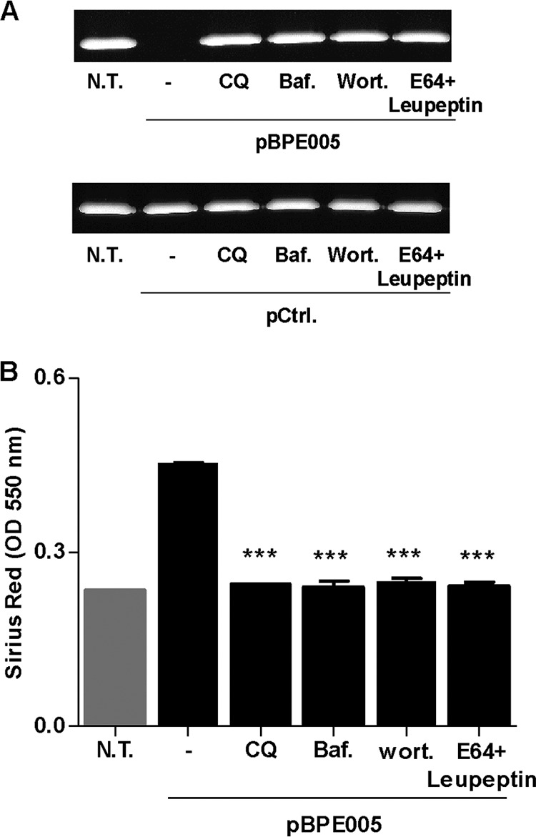 FIG 5