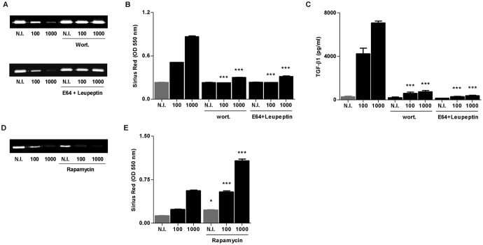 FIG 2