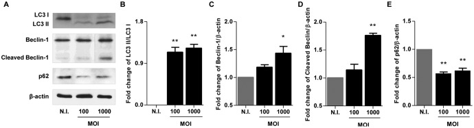 FIG 6