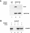 FIG. 7