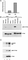 FIG. 6
