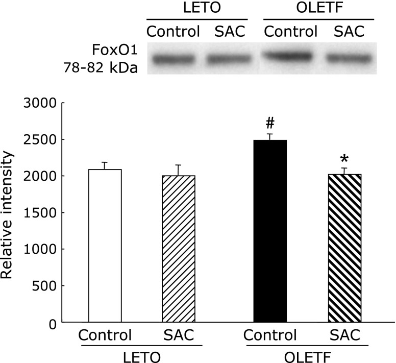 Fig. 9