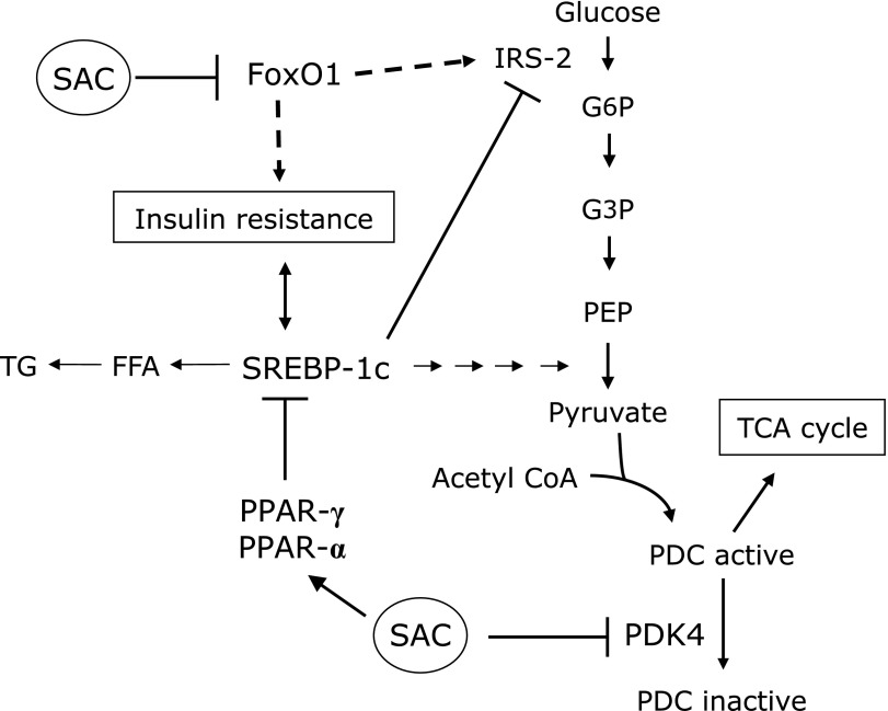 Fig. 10