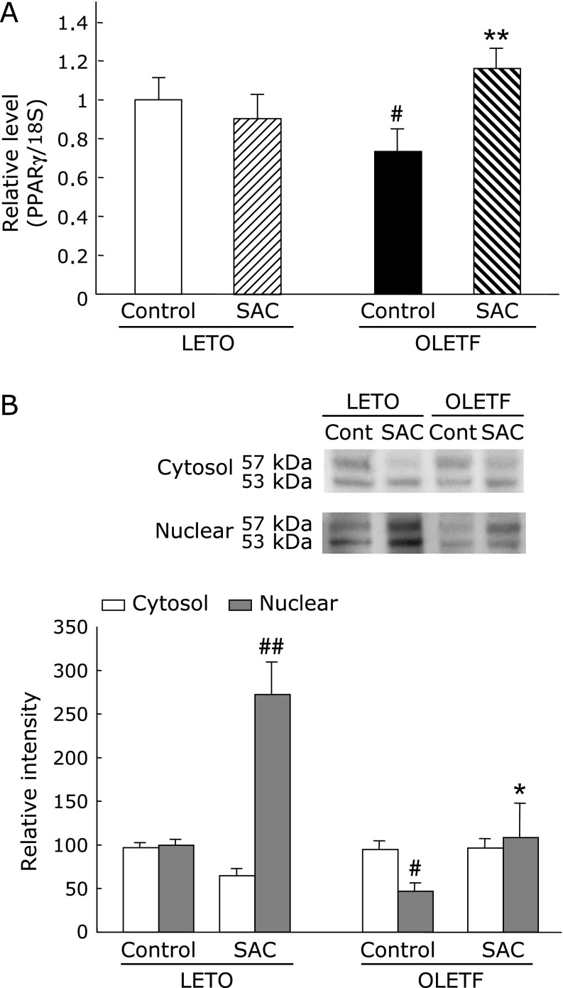 Fig. 7