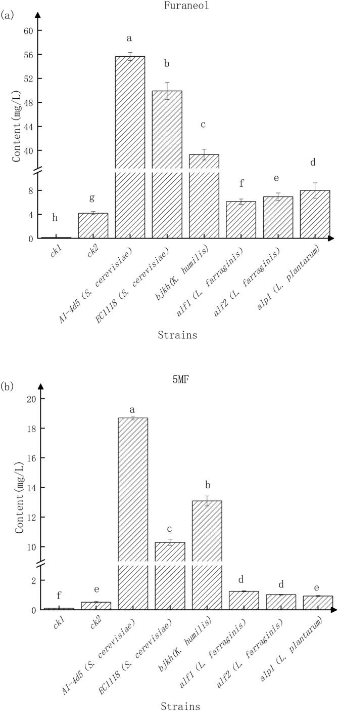 Fig. 6