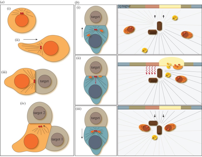 Figure 1.