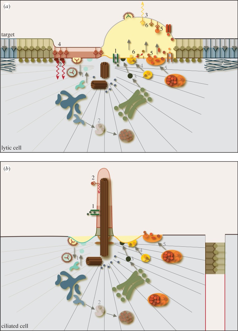 Figure 2.