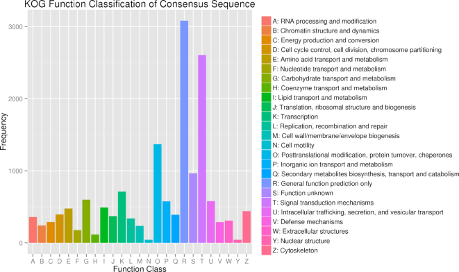 Figure 4: