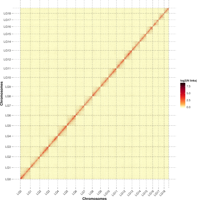 Figure 2: