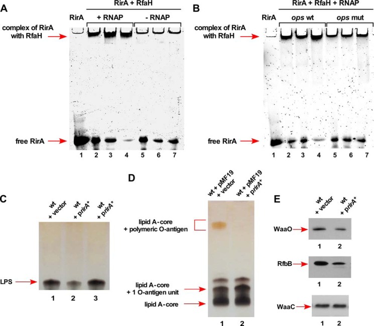 FIGURE 12.