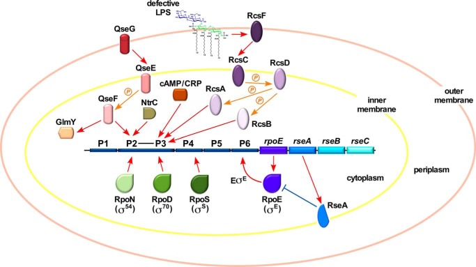 FIGURE 15.