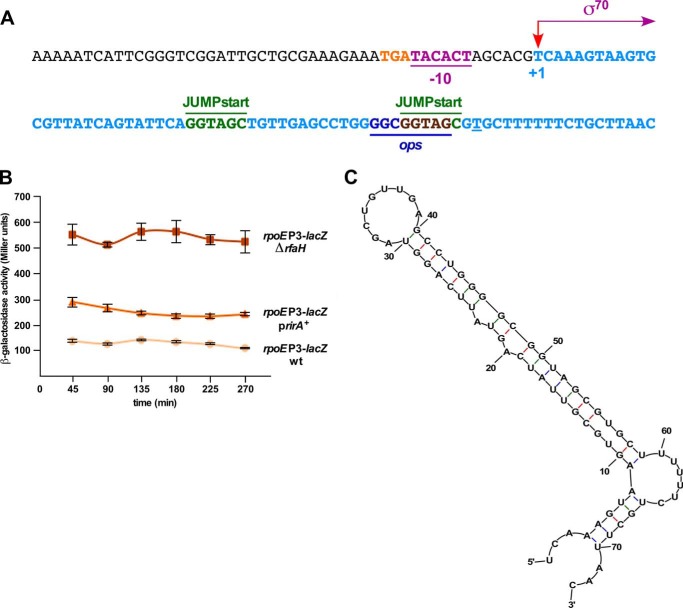 FIGURE 11.