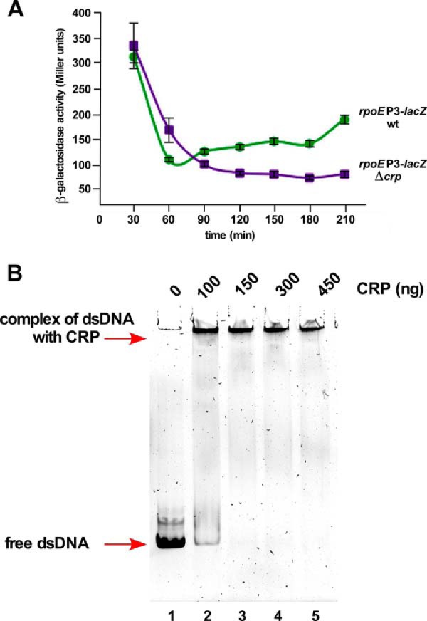 FIGURE 13.