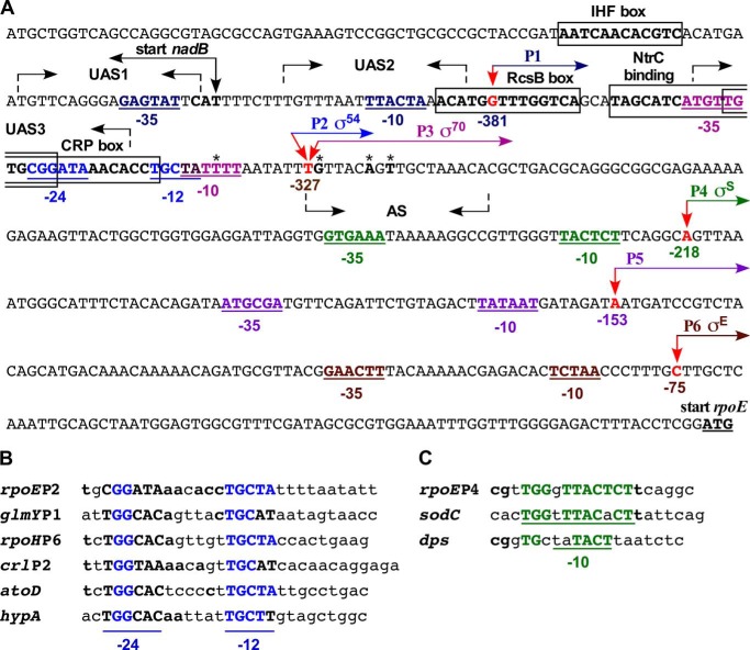 FIGURE 3.