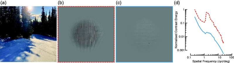 Figure 1.