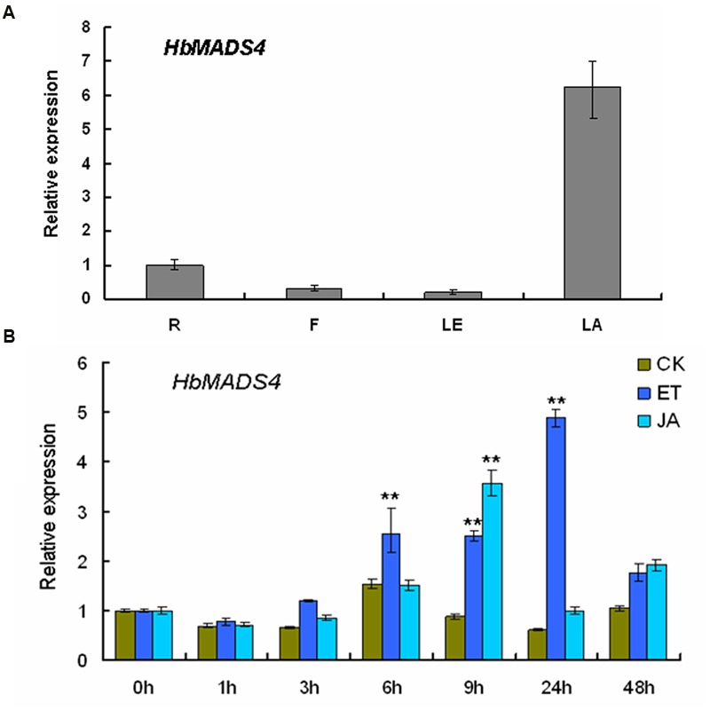 FIGURE 4