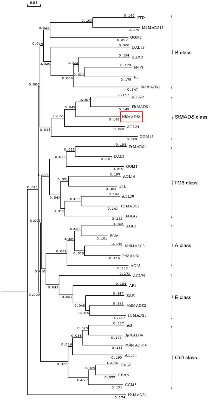 FIGURE 3