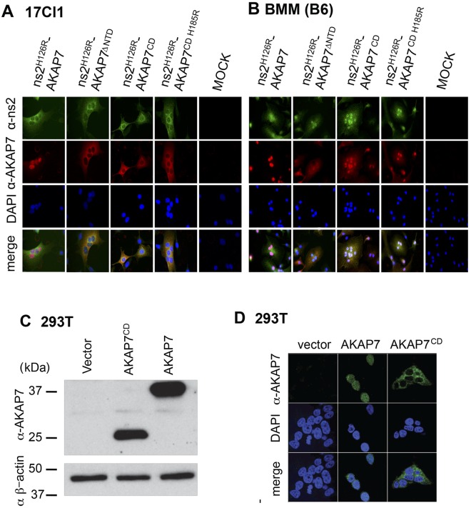 FIG 3 