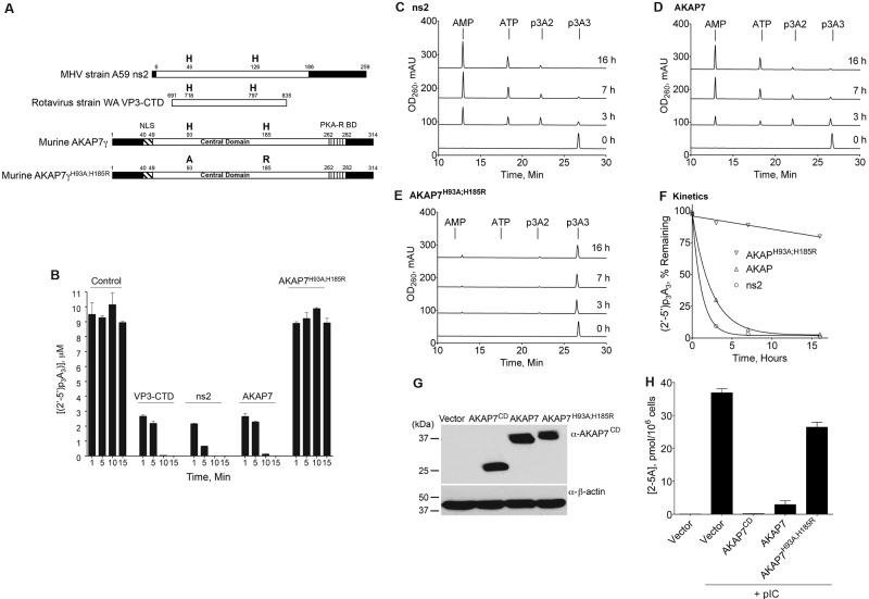 FIG 1 