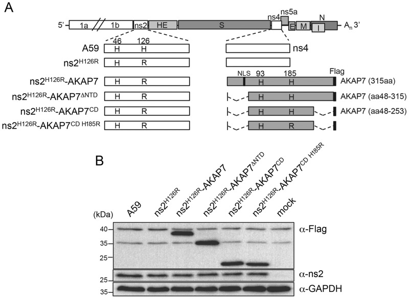 FIG 2 